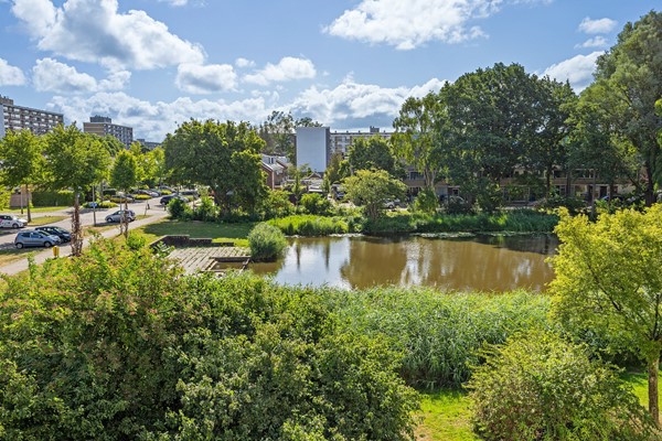 Medium property photo - Plutostraat 80, 2402 XE Alphen aan den Rijn